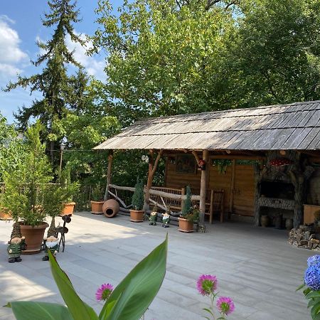 Anano'S Guesthouse Borjomi Ngoại thất bức ảnh
