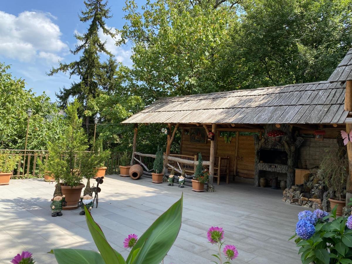 Anano'S Guesthouse Borjomi Ngoại thất bức ảnh