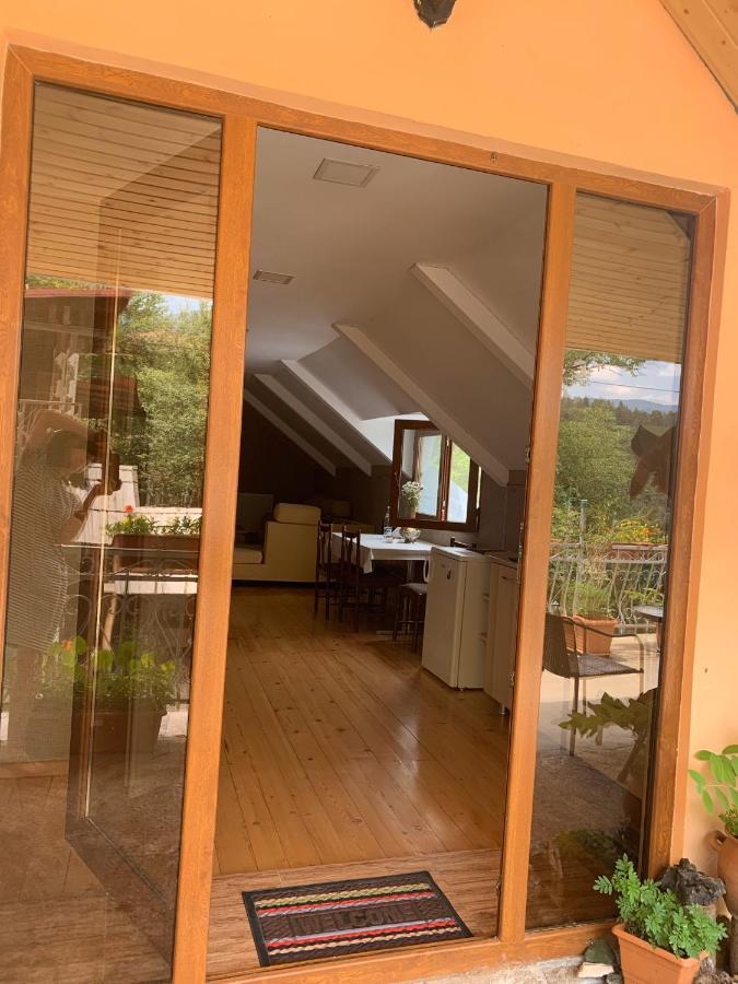 Anano'S Guesthouse Borjomi Ngoại thất bức ảnh