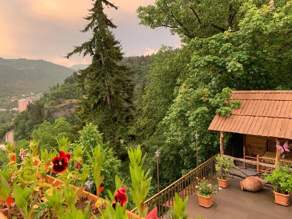 Anano'S Guesthouse Borjomi Ngoại thất bức ảnh