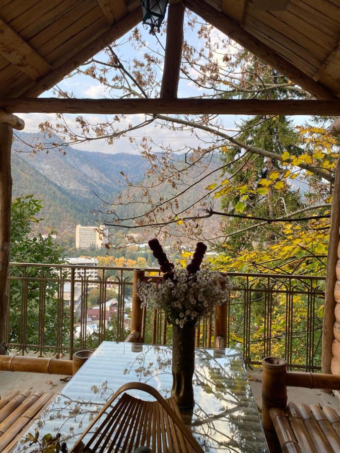 Anano'S Guesthouse Borjomi Ngoại thất bức ảnh
