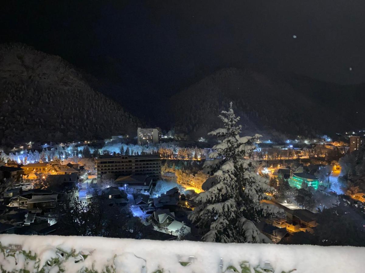 Anano'S Guesthouse Borjomi Ngoại thất bức ảnh