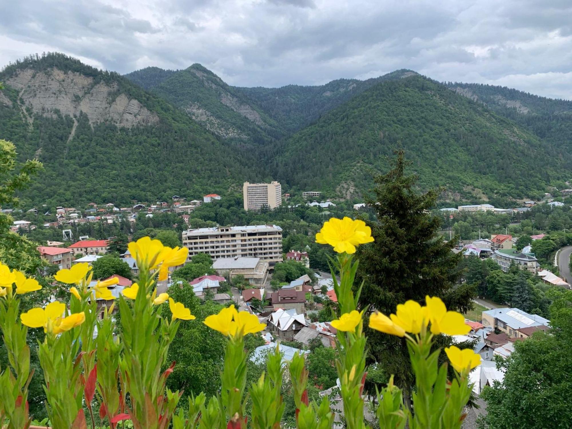 Anano'S Guesthouse Borjomi Ngoại thất bức ảnh