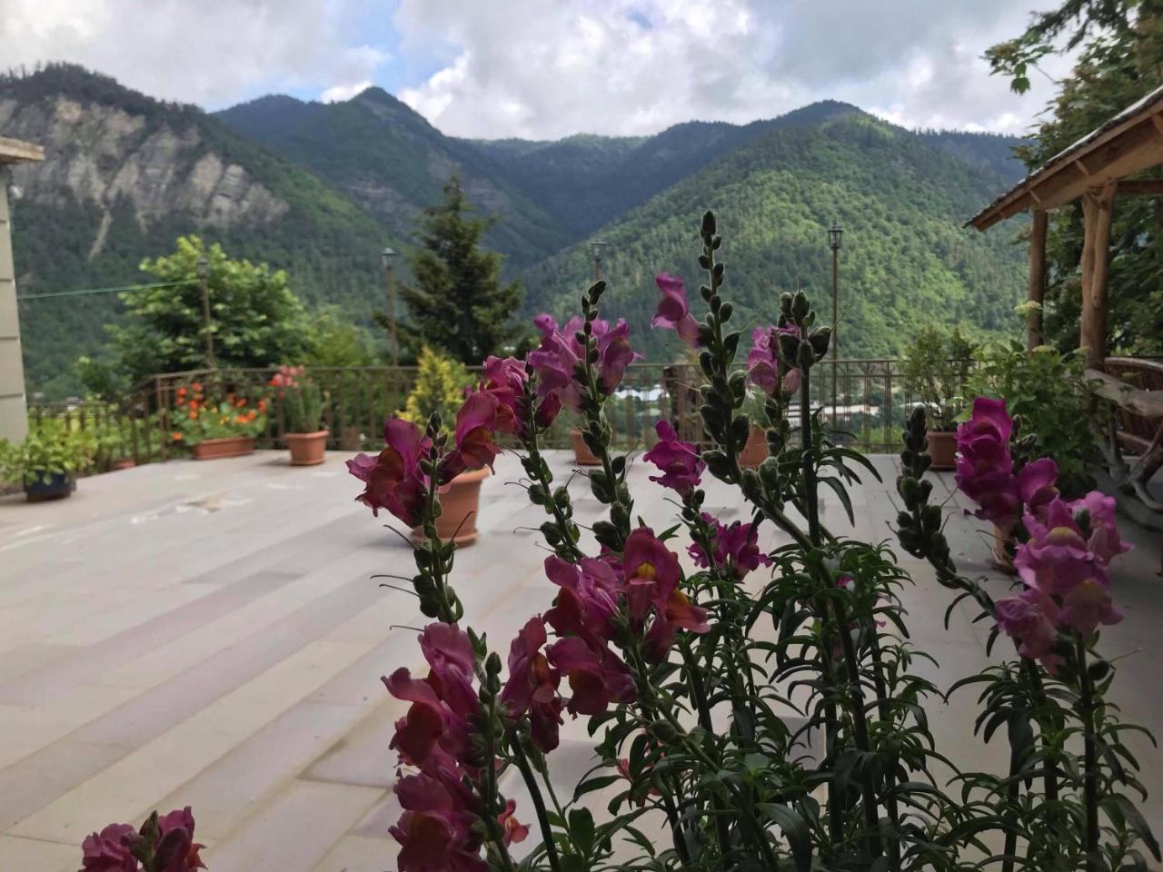 Anano'S Guesthouse Borjomi Ngoại thất bức ảnh