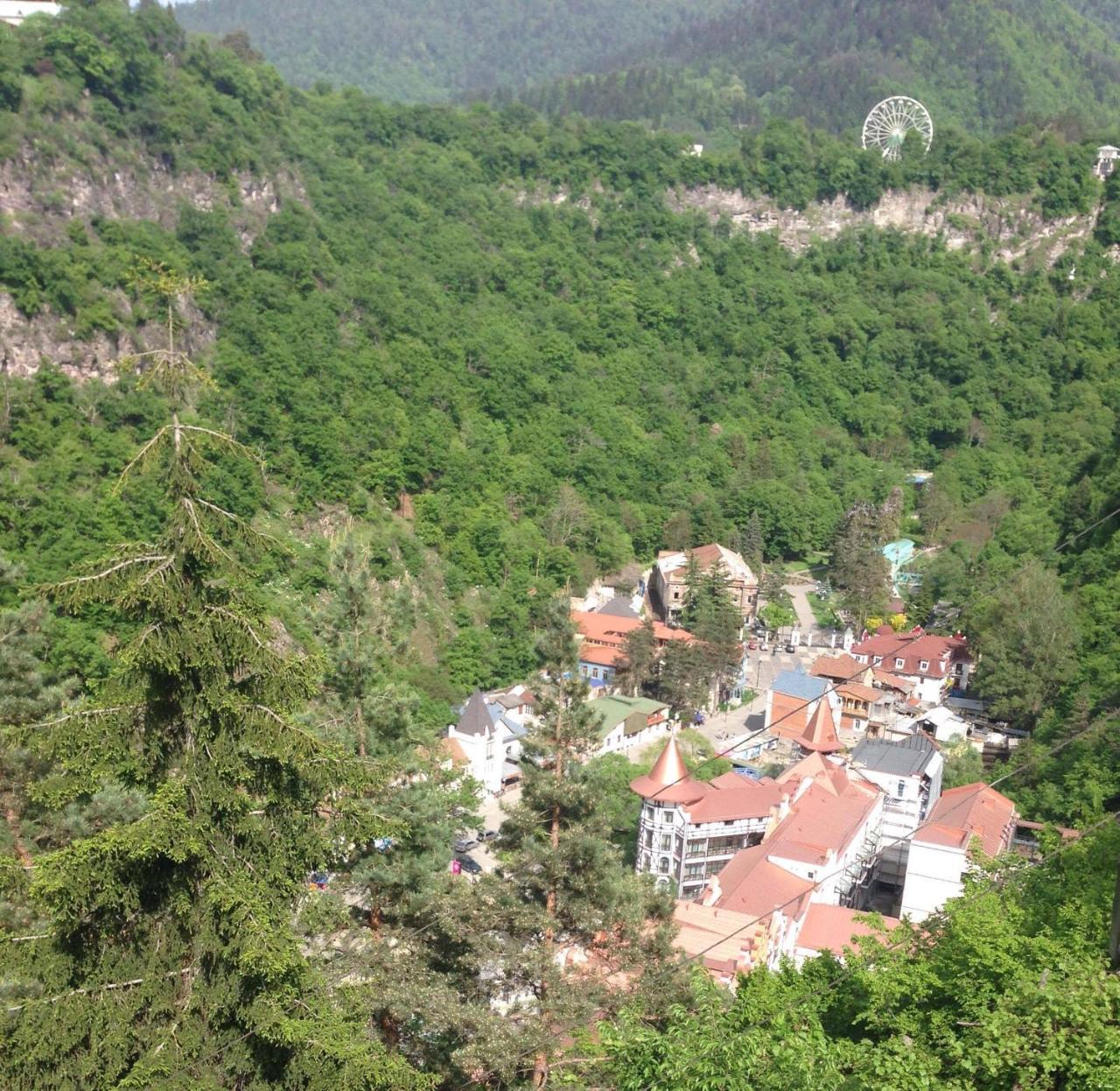 Anano'S Guesthouse Borjomi Ngoại thất bức ảnh