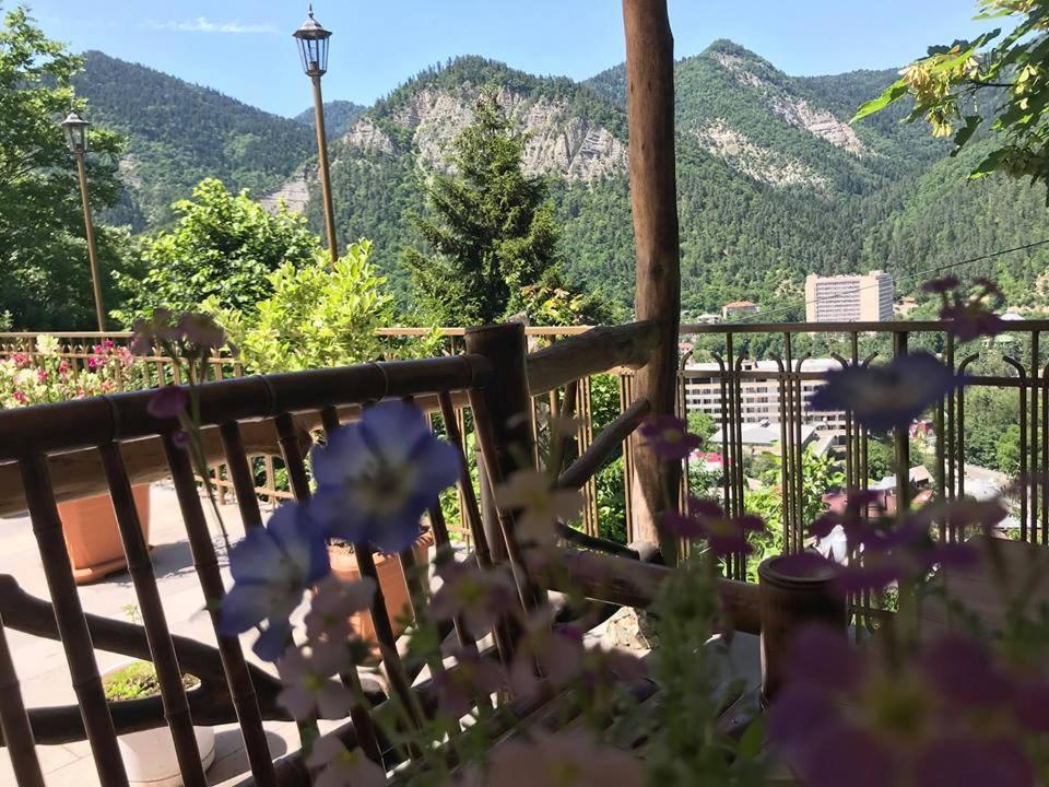Anano'S Guesthouse Borjomi Ngoại thất bức ảnh