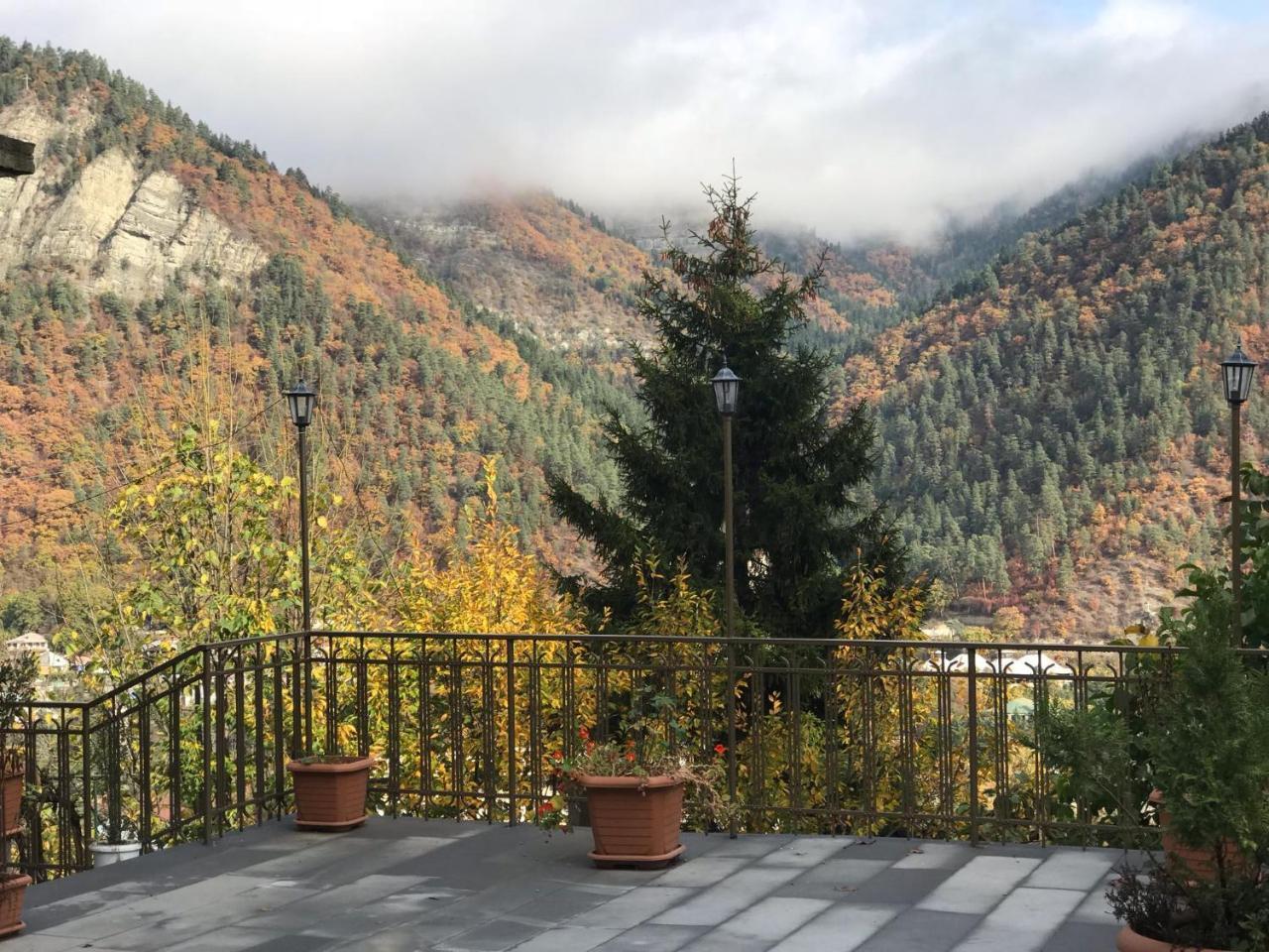 Anano'S Guesthouse Borjomi Ngoại thất bức ảnh