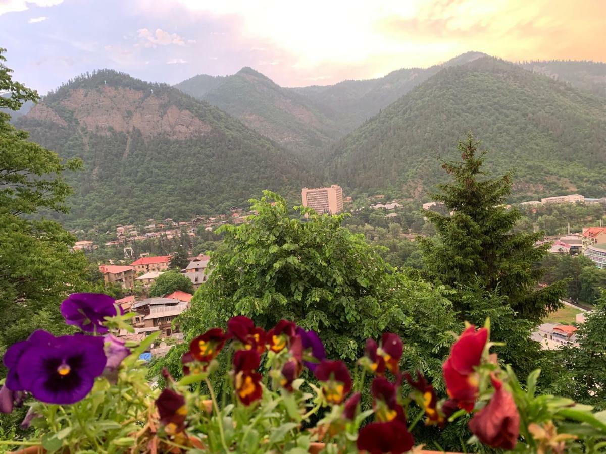 Anano'S Guesthouse Borjomi Ngoại thất bức ảnh