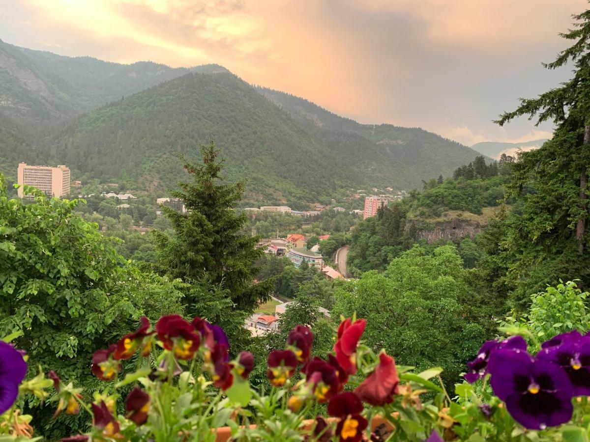 Anano'S Guesthouse Borjomi Ngoại thất bức ảnh